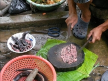 越式蛇肉湯